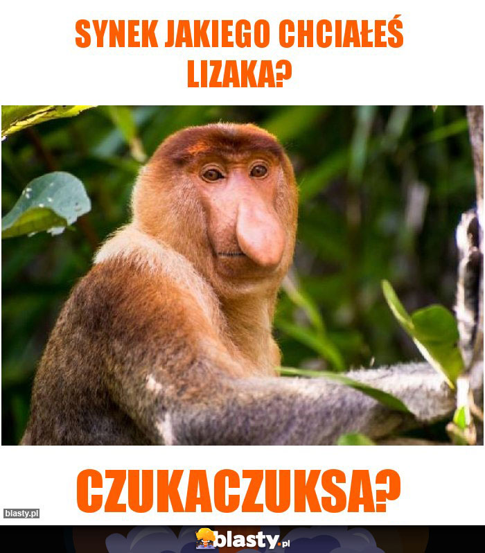 Synek jakiego chciałeś lizaka?