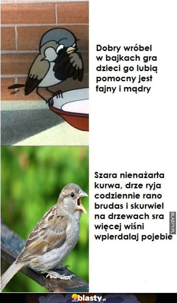 Szara niezażarta kurwa