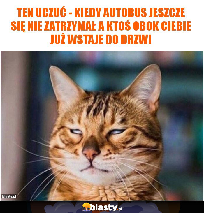 Ten uczuć - kiedy autobus jeszcze się nie zatrzymał a ktoś obok Ciebie już wstaje do drzwi