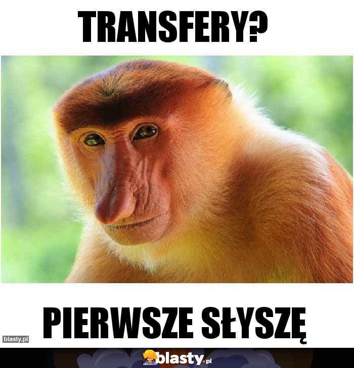 Transfery?