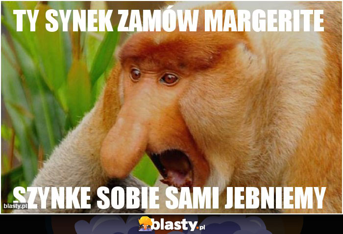 Ty synek zamów margerite