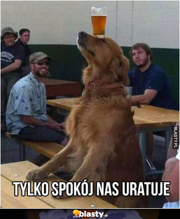 Tylko spokój nas uratuje