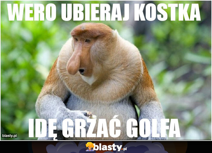 wero ubieraj kostka