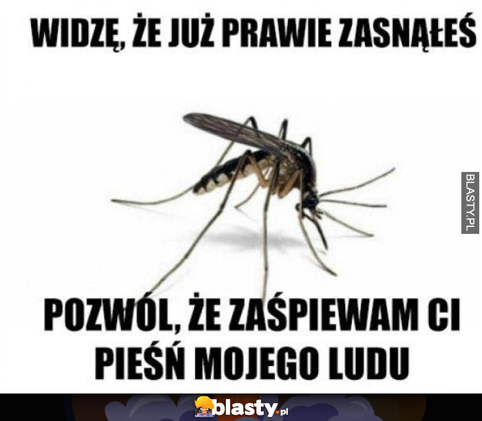 Widzę, że już prawie zasnąłeś