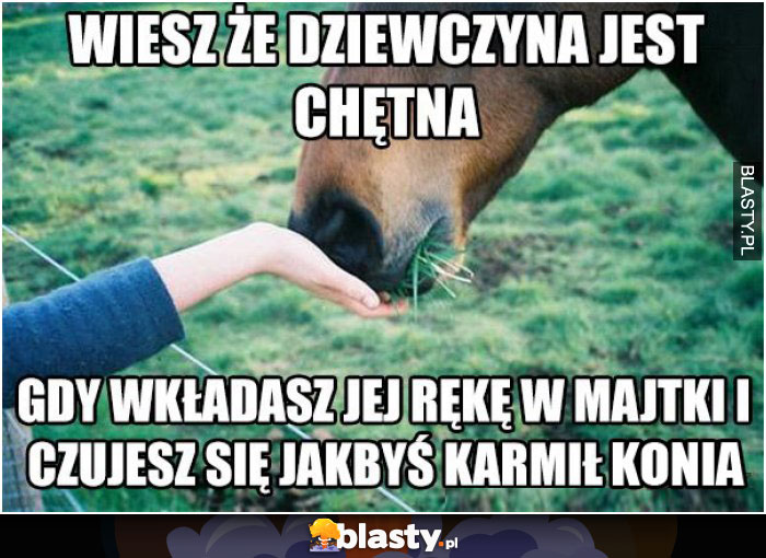 Wiesz, że dziewczyna jest chętna