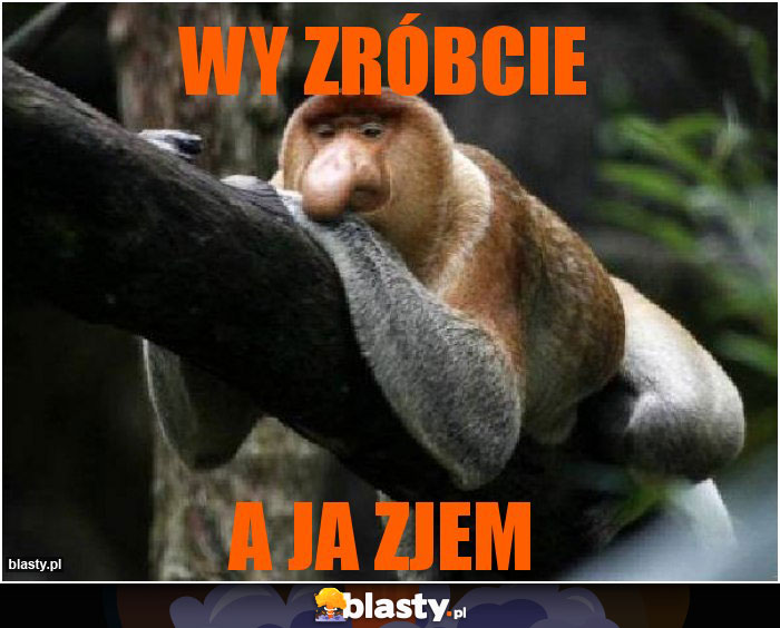 WY ZRÓBCIE
