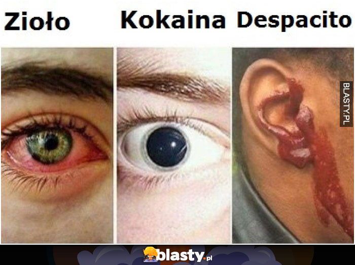 Zioło vs kokaina vs despacito