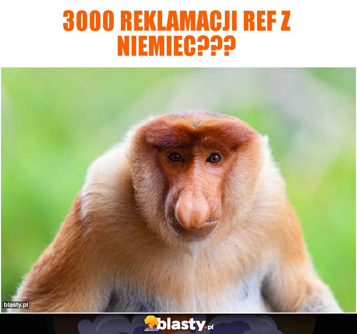 3000 reklamacji REF z niemiec???