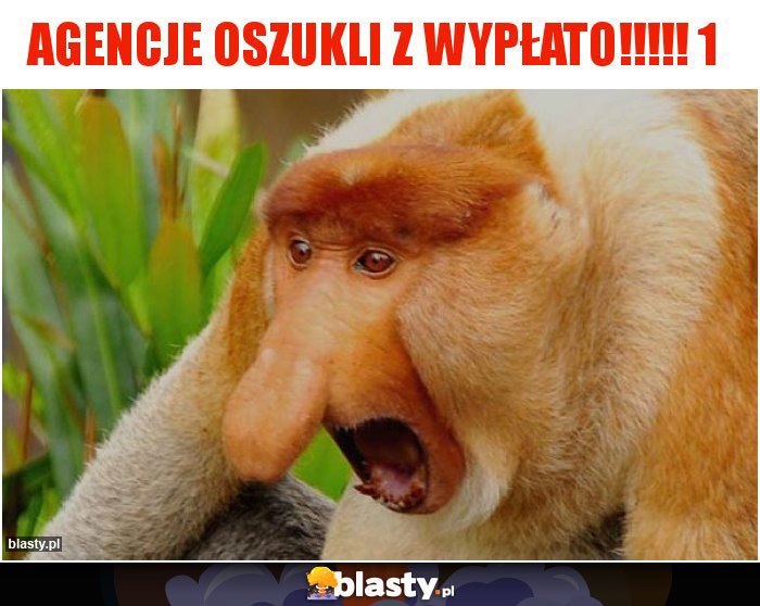 Agencje oszukli z wypłato!!!!! 1