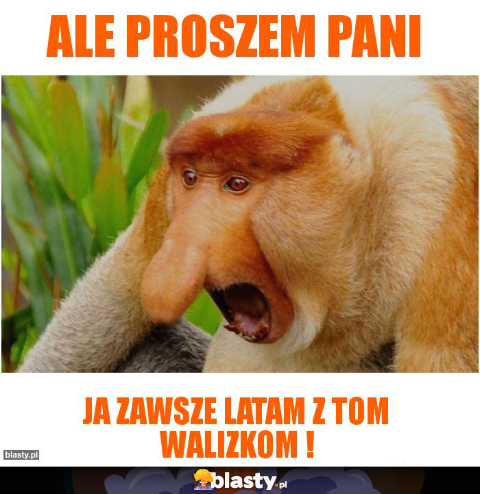 ale proszem pani