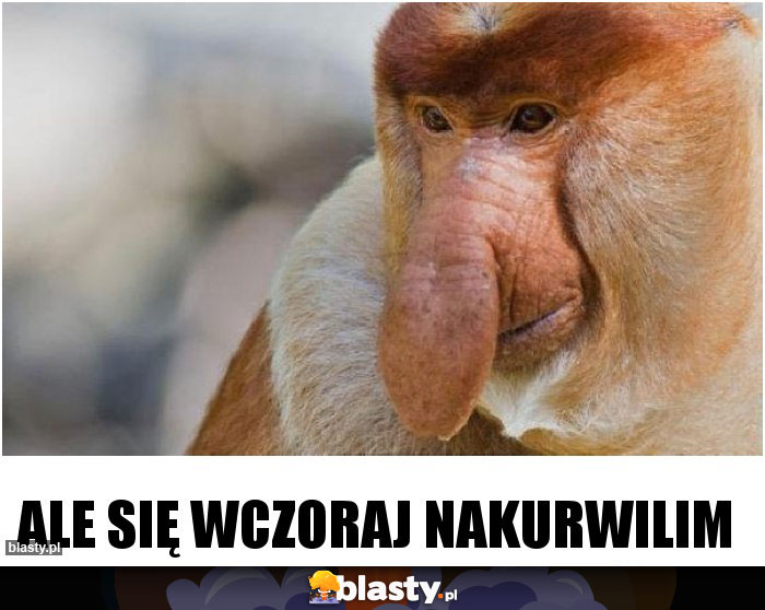 Ale się wczoraj nakurwilim