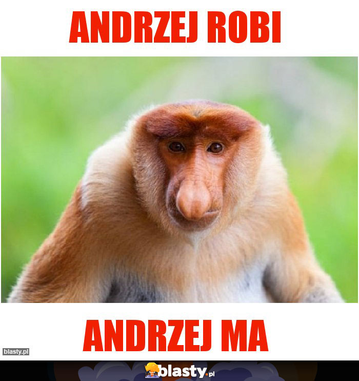 Andrzej robi