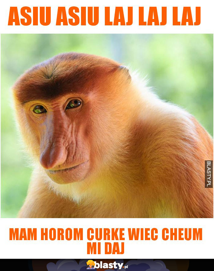 Asiu Asiu laj laj laj