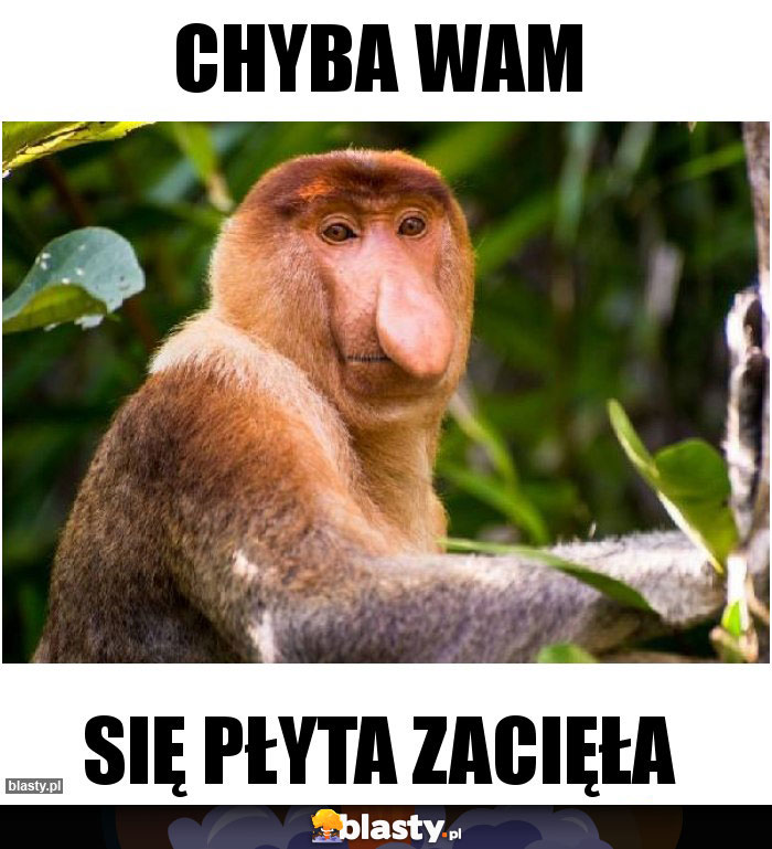 Chyba wam