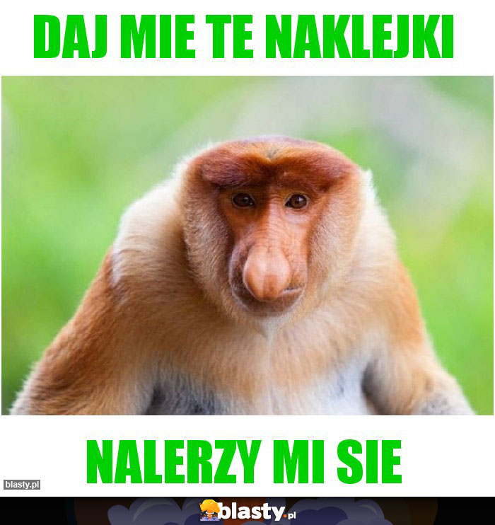 Daj mie te naklejki
