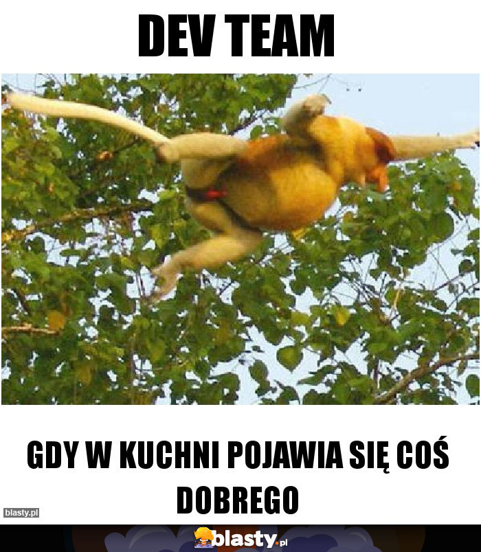DEV TEAM