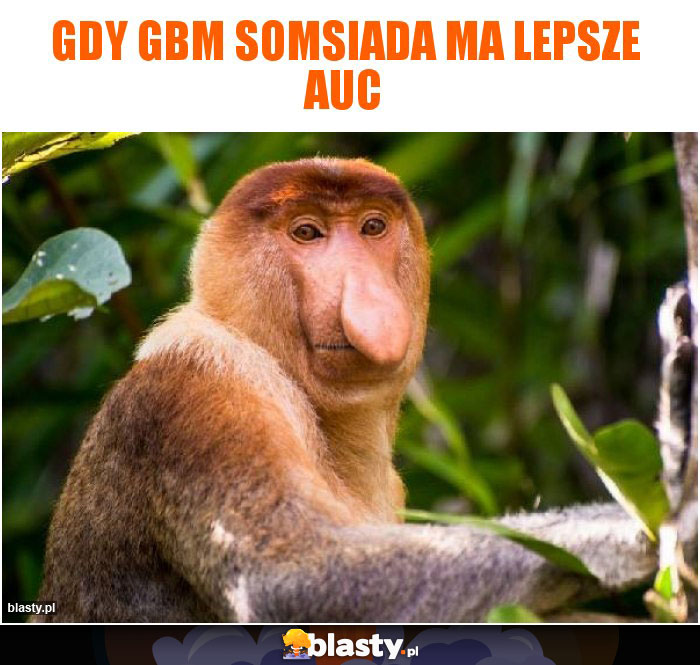 GDY GBM SOMSIADA MA LEPSZE AUC