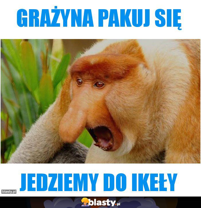 Grażyna pakuj się