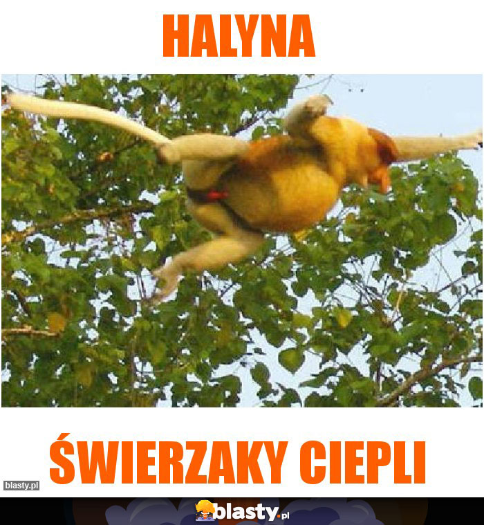 halyna