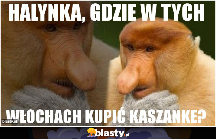 Halynka, gdzie w tych