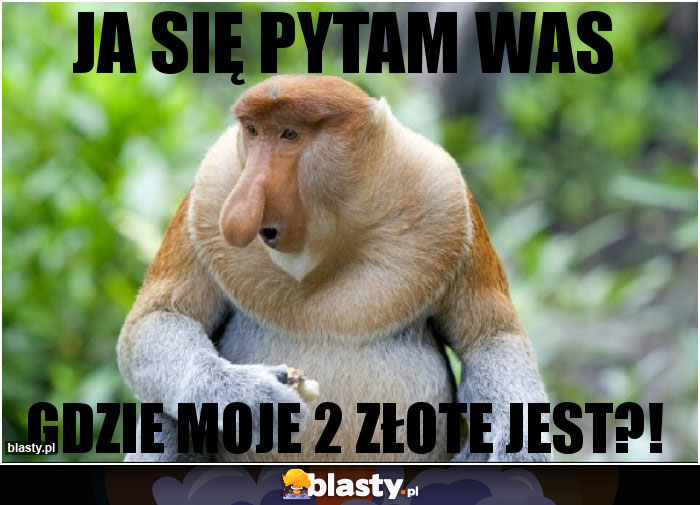 Ja się pytam Was