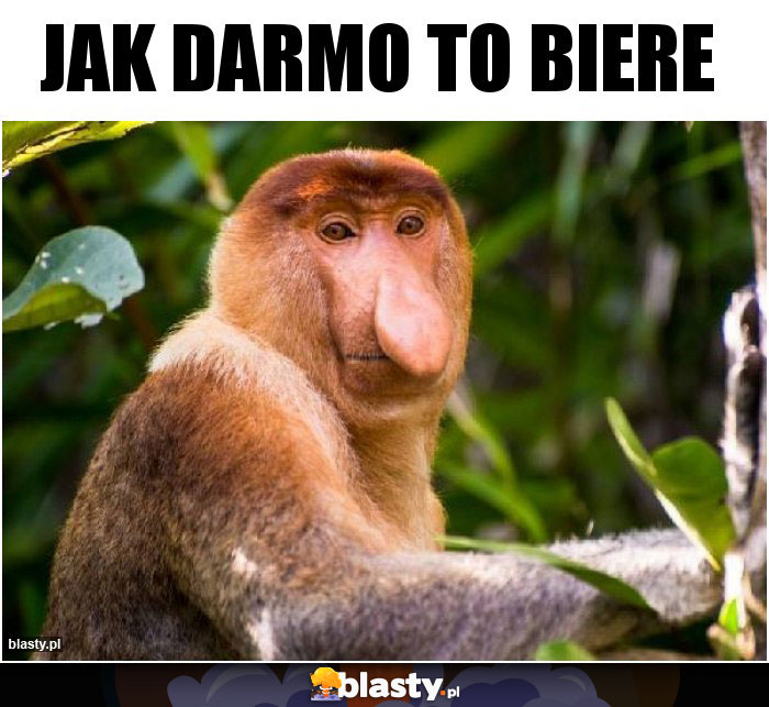 Jak darmo to biere