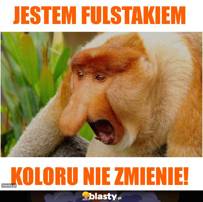 jestem fulstakiem