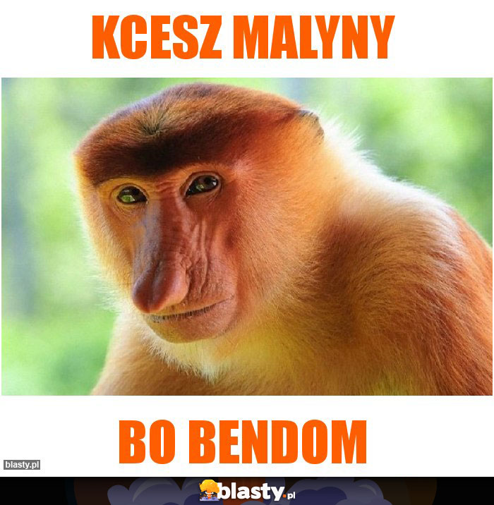 KCESZ MALYNY