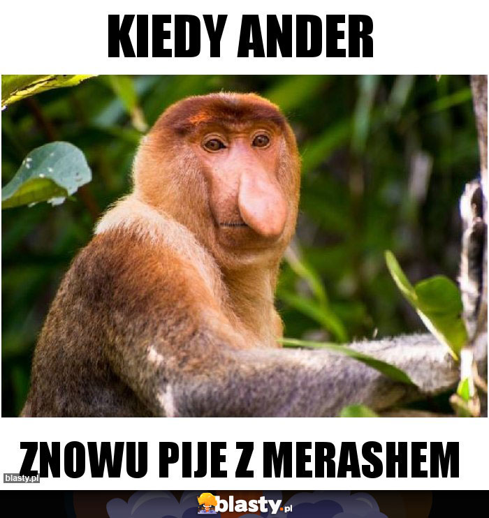 Kiedy Ander