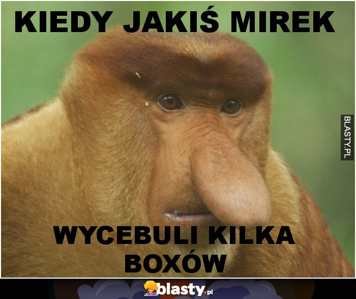 kiedy jakiś mirek
