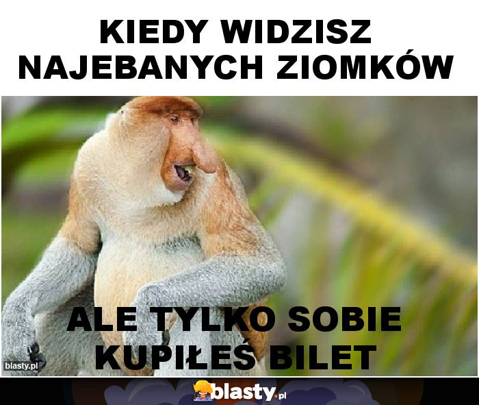 kiedy widzisz najebanych ziomków