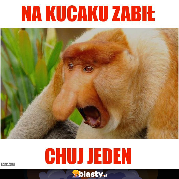 na kucaku zabił