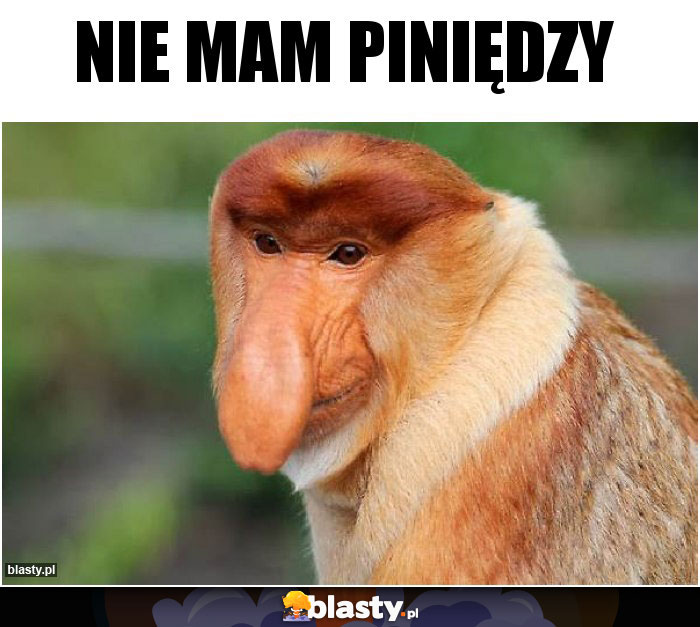 Nie mam piniędzy