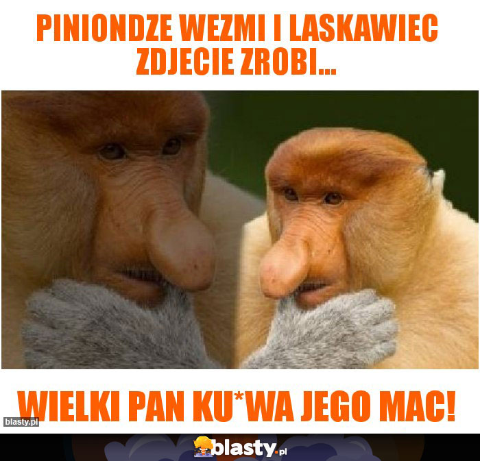 Piniondze wezmi I Laskawiec zdjecie zrobi...