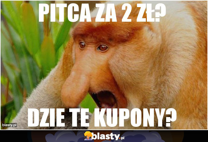 PITCA ZA 2 ZŁ?