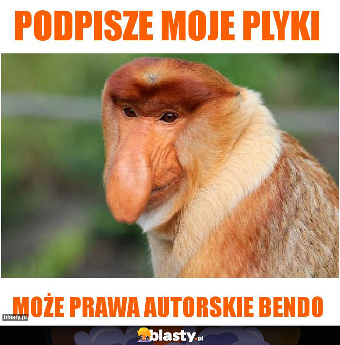 podpisze moje plyki