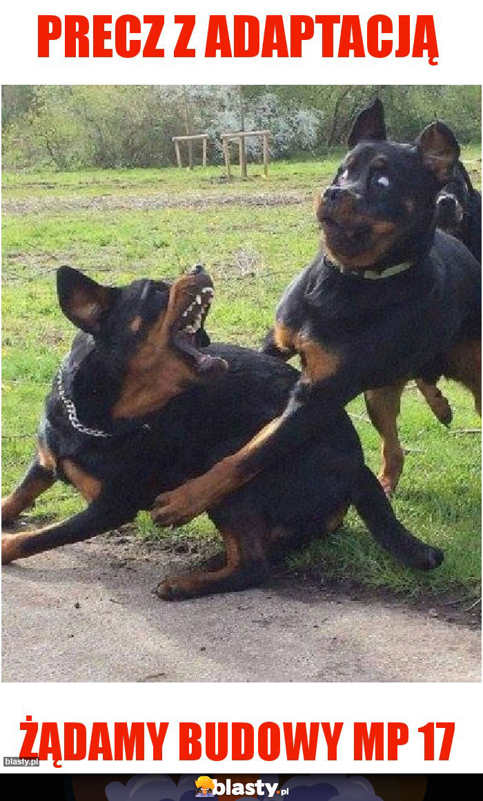 PRECZ Z ADAPTACJĄ