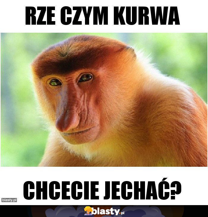 rze czym kurwa