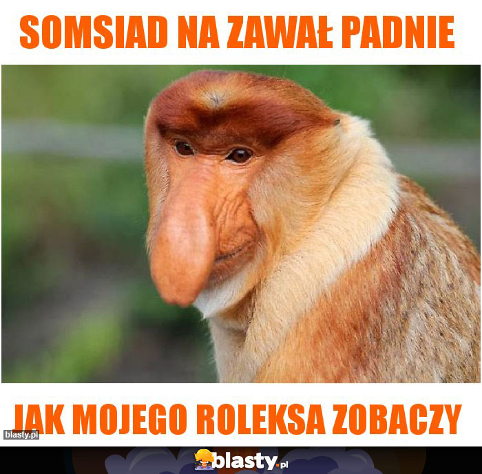somsiad na zawał padnie