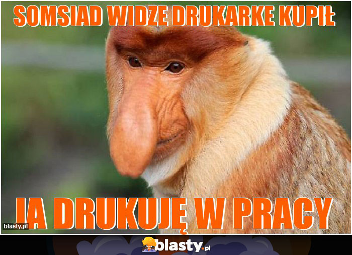 Somsiad widze drukarke kupił