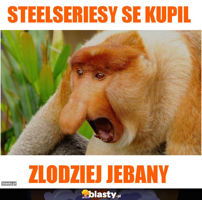 Steelseriesy se kupil