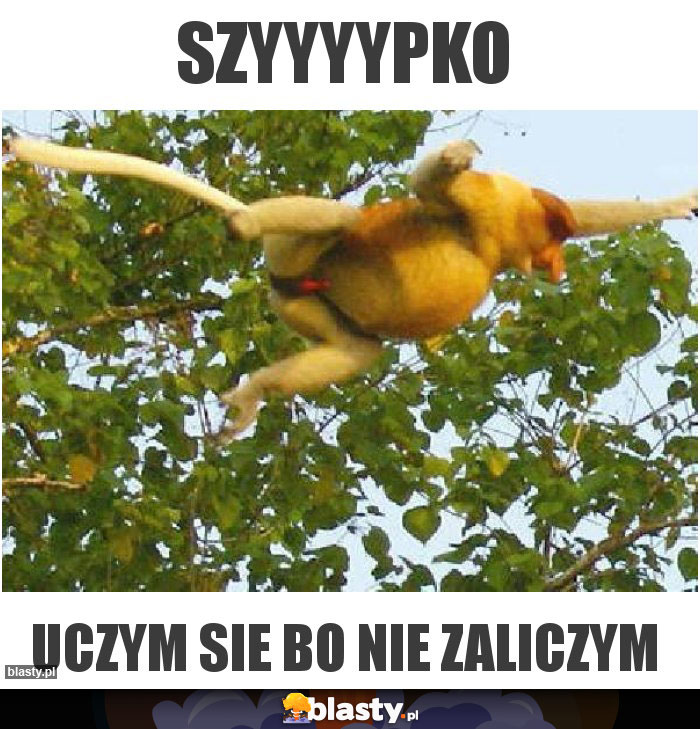SZYYYYPKO