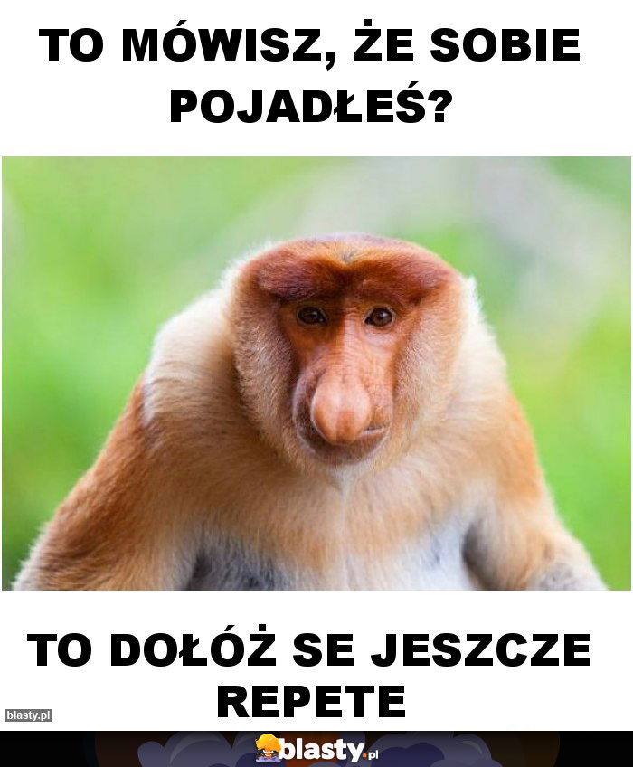 To mówisz, że sobie pojadłeś?