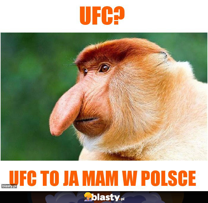 UFC?
