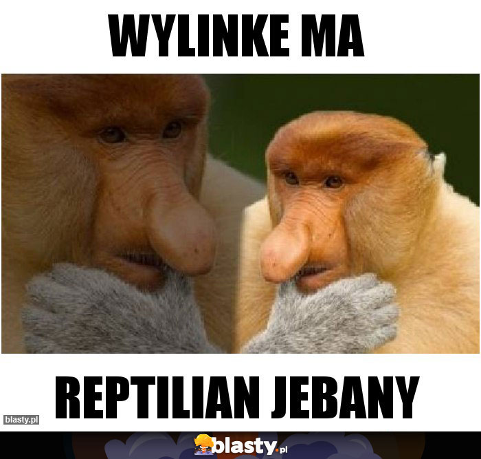wylinke ma