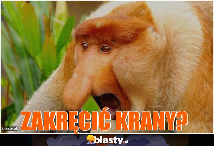 Zakręcić krany?