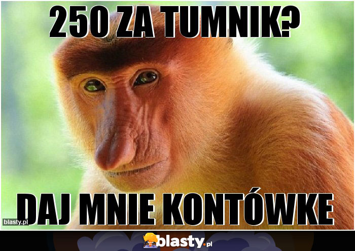 250 ZA TUMNIK?