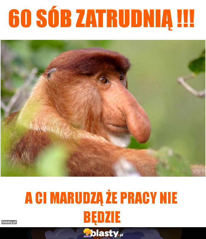 60 sób zatrudnią !!!