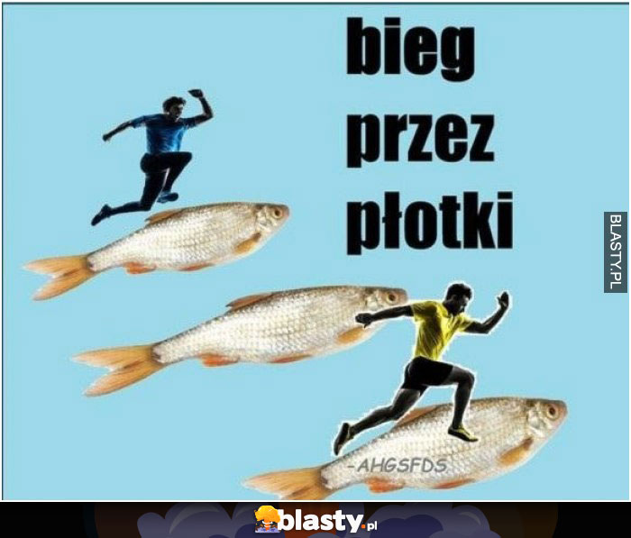 Bieg przez płotki