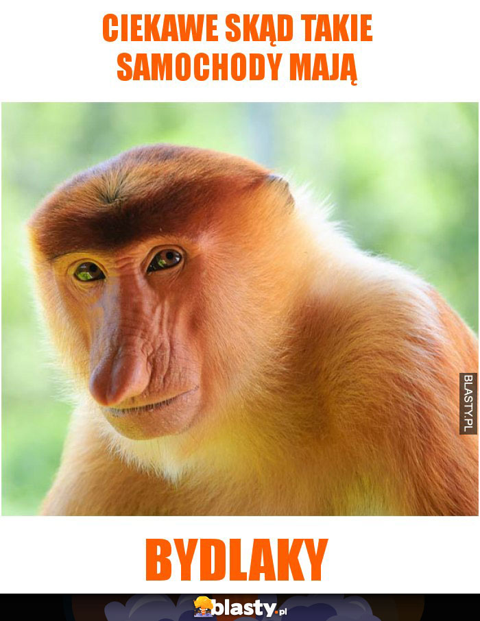 CIEKAWE SKĄD TAKIE SAMOCHODY MAJĄ